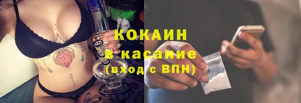 мдпв Козельск