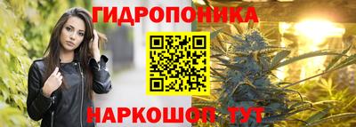 винт Гусь-Хрустальный