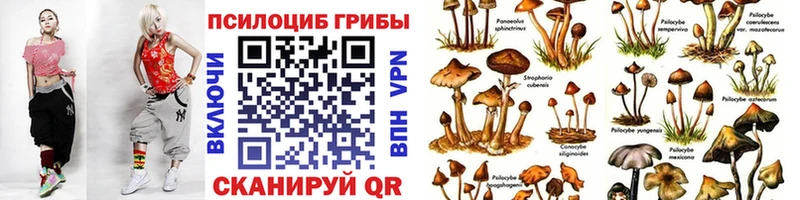 Галлюциногенные грибы мухоморы  закладки  Малгобек 