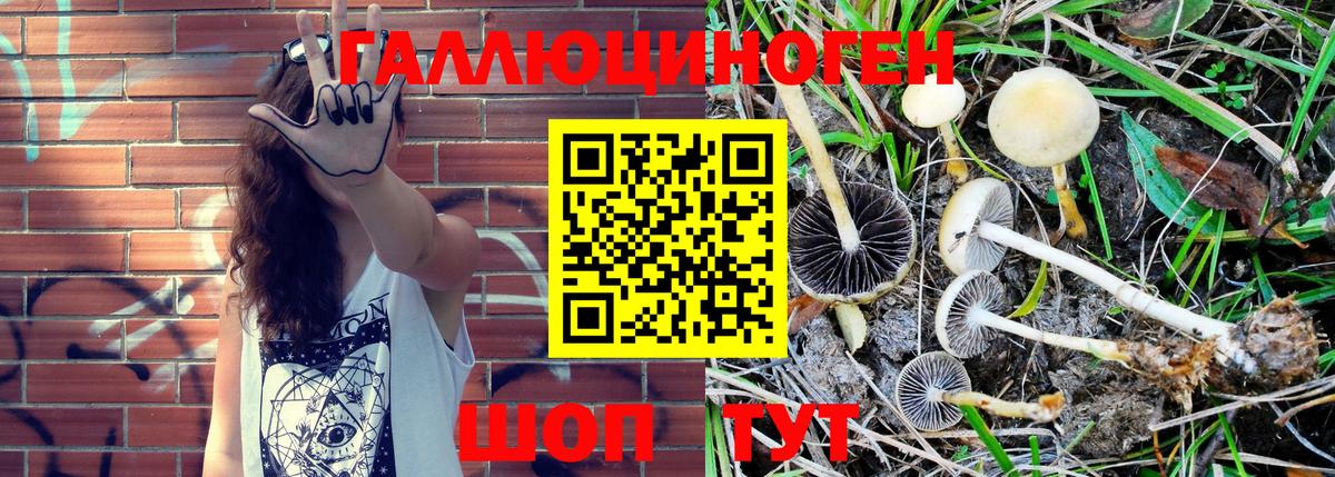 Галлюциногенные грибы Magic Shrooms  Галлюциногенные грибы ЛСД  Вход с VPN  Малгобек 